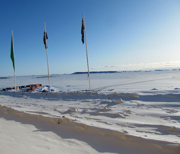 Flags at Davis — no wind