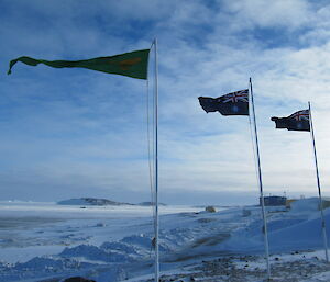 Flags at Davis — in the wind