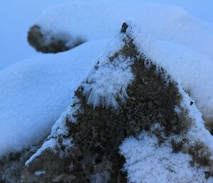 Surface hoar at Davis