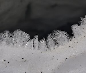 Ice crystals forming around a seal hole at Davis