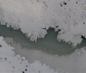 Ice crystals line a sheltered tide crack