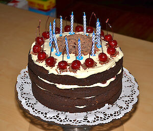 Birthday cake at Davis