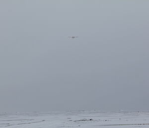 Twin Otter coming into Davis Oct 2012