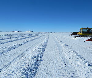 Grooming at Plough Island 2012