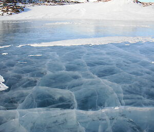 Lake ice in three dimensions with cracks and bubbles