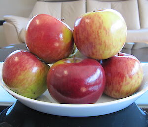Apples at Davis 2012