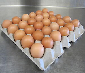Eggs coated in oil at Davis 2012