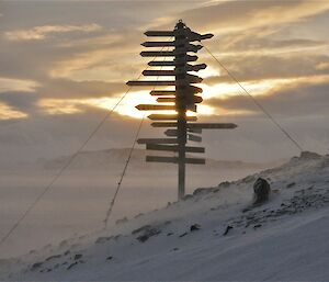 Davis sign-post weathers a storm