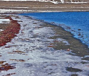 The frozen white sand and blue water meet at the shore