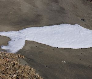 Snow in the shape of a fish on the beach