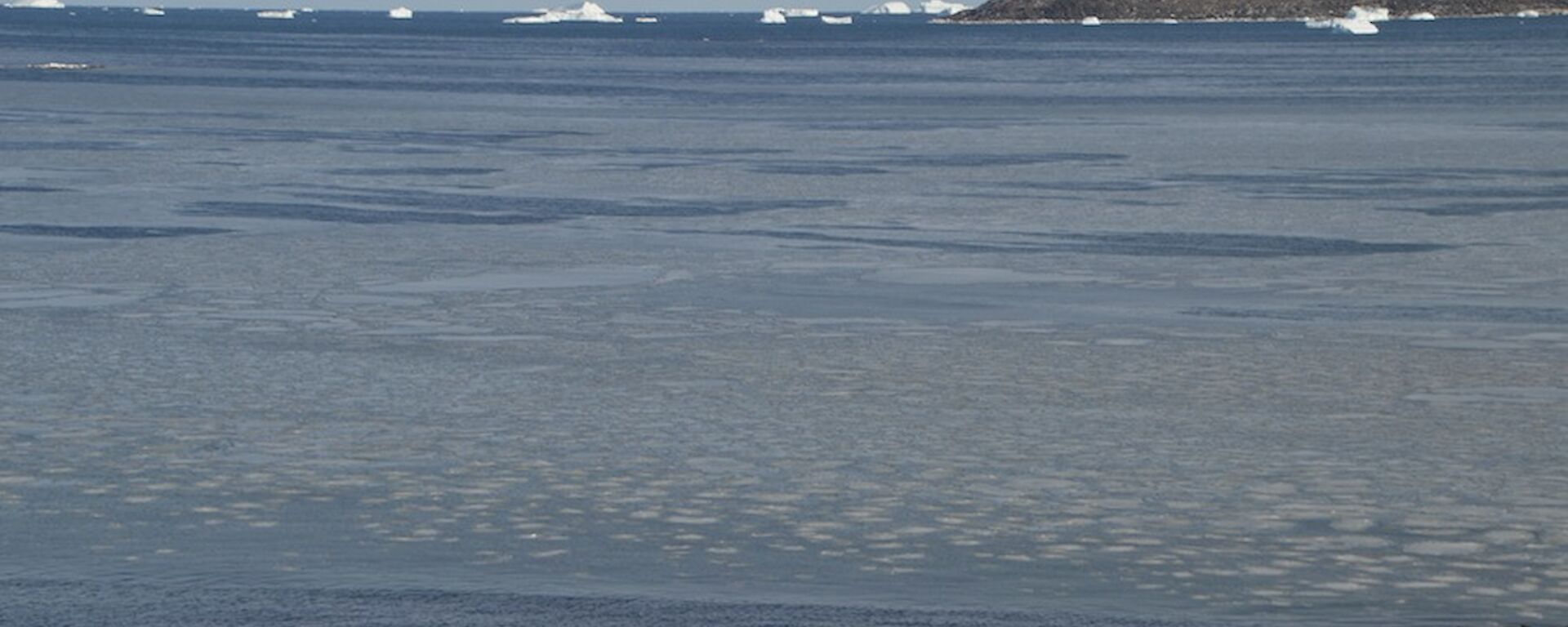 An oily looking slick and pancake shaped ice forming on top of the water