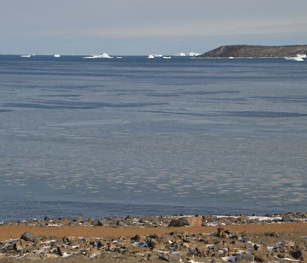 An oily looking slick and pancake shaped ice forming on top of the water