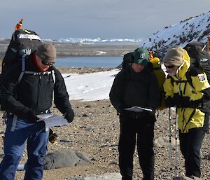Three expeditioners with packs in the field checking their maps for their location