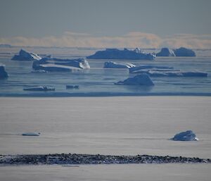 A view of the ice bergs beyond the frozen sea ice on a clear blue sky day
