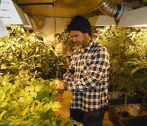 Mark harvesting some fresh herbs