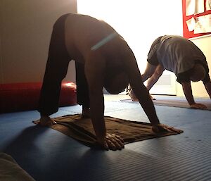 Two expeditioners in the yoga downward dog position