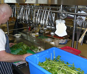 Rocket uses the latest fresh produce from hydroponics to create a fresh salad