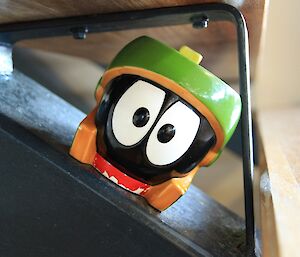 Marvin mug hiding under a stair tread