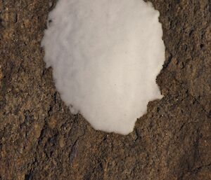 Windblown snow stuck to a rock in the shape of a woman’s portrait