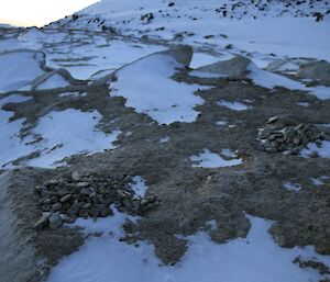 Piles of small rocks collected last breading season for nesting Adelie penguins