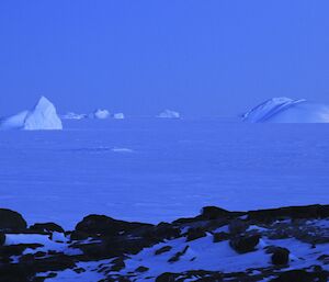 Ice bergs stuck fast in the sea ice
