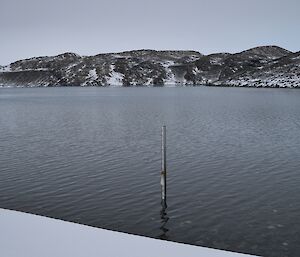 Measuring pole extending above the watery surface of Deep Lake