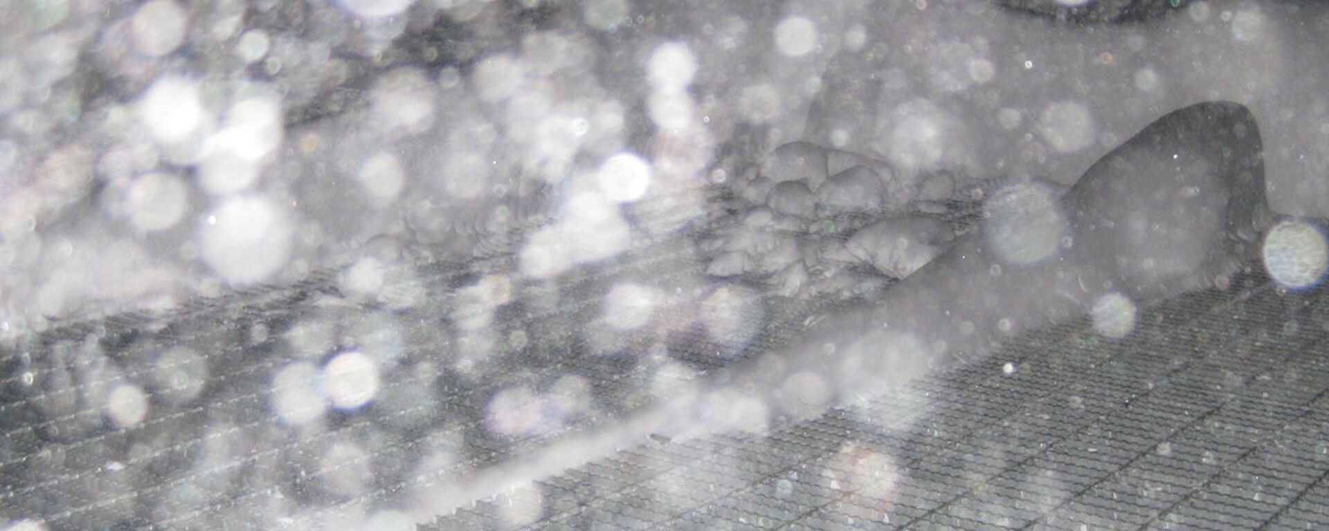 Attempt to capture the minimal visibility in a blizzard with the front door of the Living Quarters only two metres away
