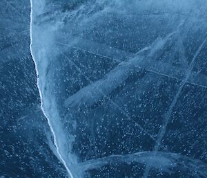 Attempting to get a photo of the bottom of the lake through the frozen water