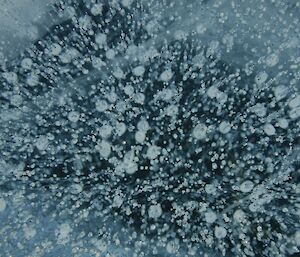 Air bubbles frozen in ice on surface of the fresh water lake