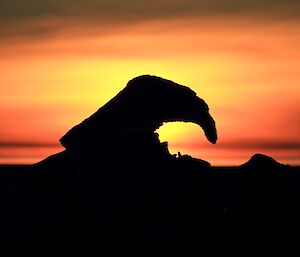 A small piece of ice berg in the foreground with a beautiful sunset as a back drop