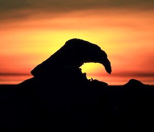 A small piece of ice berg in the foreground with a beautiful sunset as a back drop