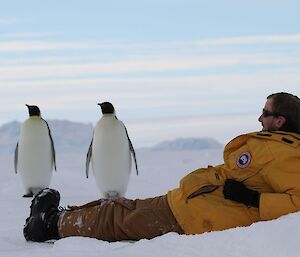 Expeditioner lying on the snow and ice as two inquisitive emperor penguins approach for a look
