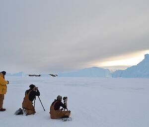 Three expeditioners lining up on the sea ice to get a photo of the pending sunset over the ice bergs