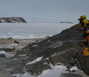 Expeditioners watching Adelie penguins collecting stones for their nest