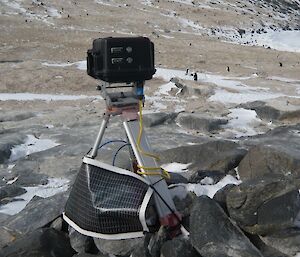 Nest camera on Magnetic Island