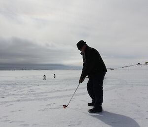 Two penguins watching golf being played on the ice