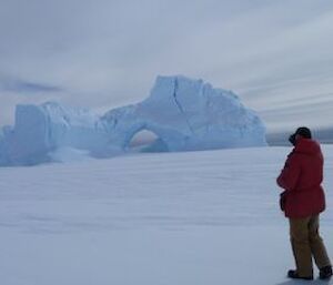 A picture of a Jade Berg trapped in ice