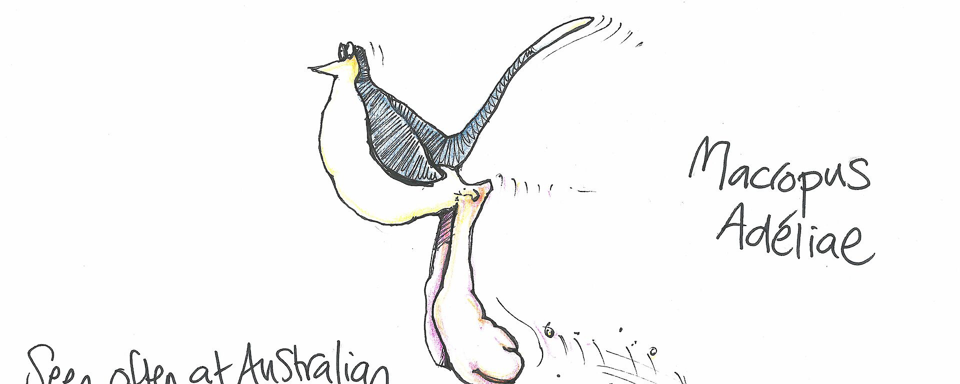 A cartoon of a penguin on kangaroo legs