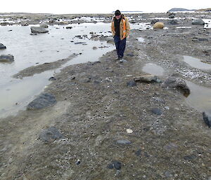 An expeditioner walking along a track