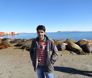 male standing in front of elephant seals