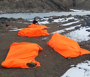 4 bivvy bags on the ground with expeditioners in each of them