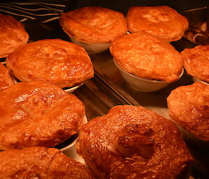 Close up photos of guinness pies