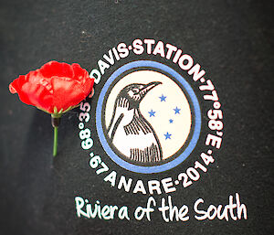 Red poppy alongside station 2014 logo