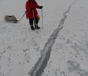 Expeditioner towing sled stepping over small crack in sea ice