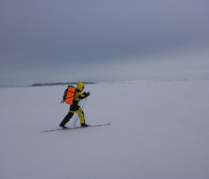 Expeditioner on cross country skis striding out