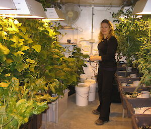Expeditioner standing alongside plants in shed