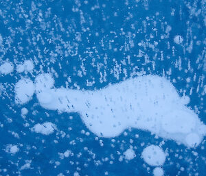 Air bubbles formed under the ice’s surface