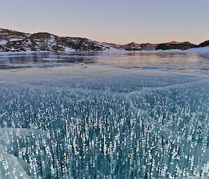 Bubbles trapped frozen in a frozen lake