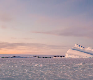 Sea ice, icebergs and an icy plateau on a sunny but cold day