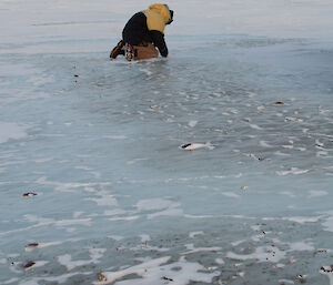 Expeditioner on the sea ice looking down